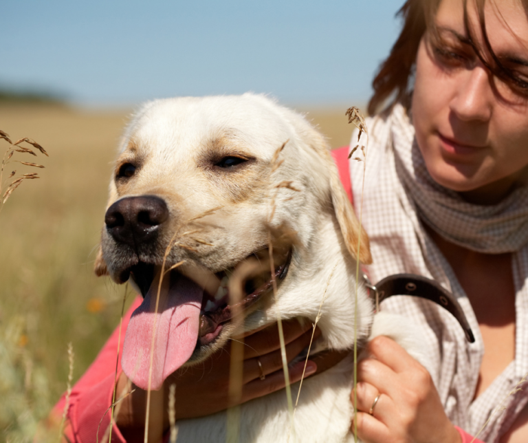 éducateur canin accompagnant un chien stressé