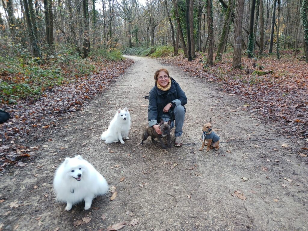 Éducateur et comportementaliste canin à Saint-Germain-lès-Arpajon et ses alentours (91)