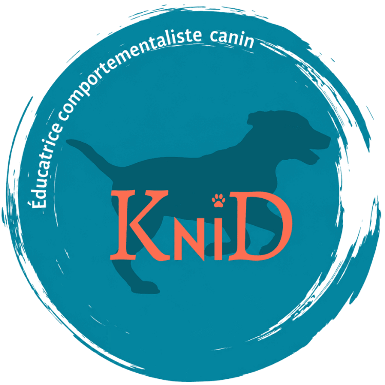 orange-knideducation-logo-carole-nguyen.png orange-knideducation-logo-carole-nguyen.png
